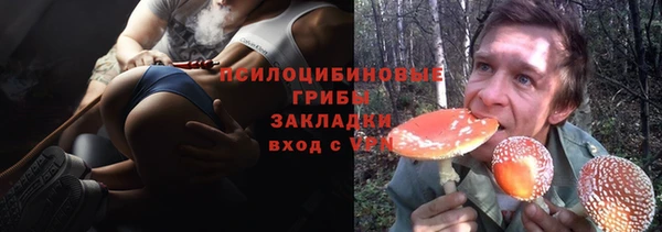 ешки Верея