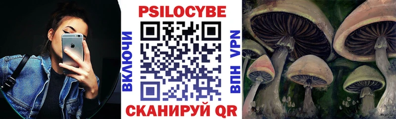продажа наркотиков  Ростов  Псилоцибиновые грибы Psilocybe 